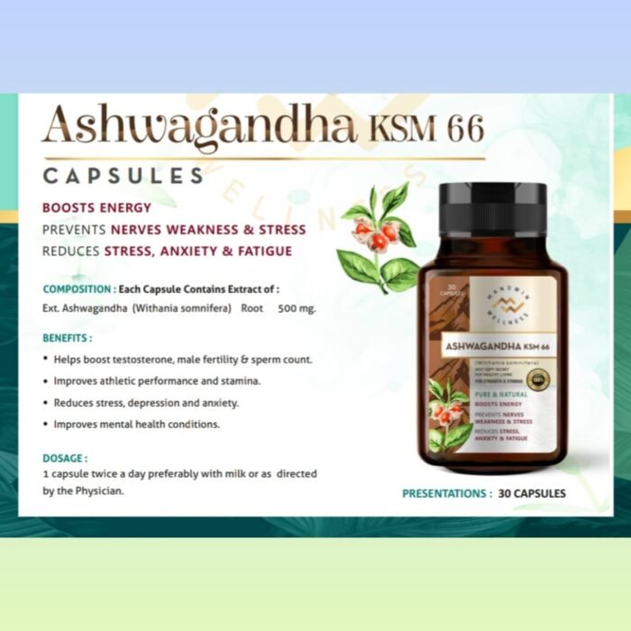 Manowin Wellness Ashwagandha KSM-666 - Image 2
