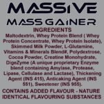 Ripped Up Nutrition Massive Mass Gainer - Image 3