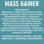 Ripped Up Nutrition High Calorie Mass Gainer - Image 4